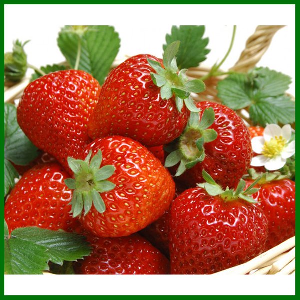 High Quality Preshbtaste Healthy Frozen Strawberry