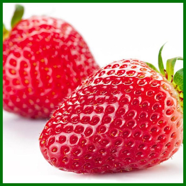 High Quality Preshbtaste Healthy Frozen Strawberry