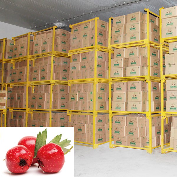 High Quality Cheap Organic Frozen Hawthorn Berry