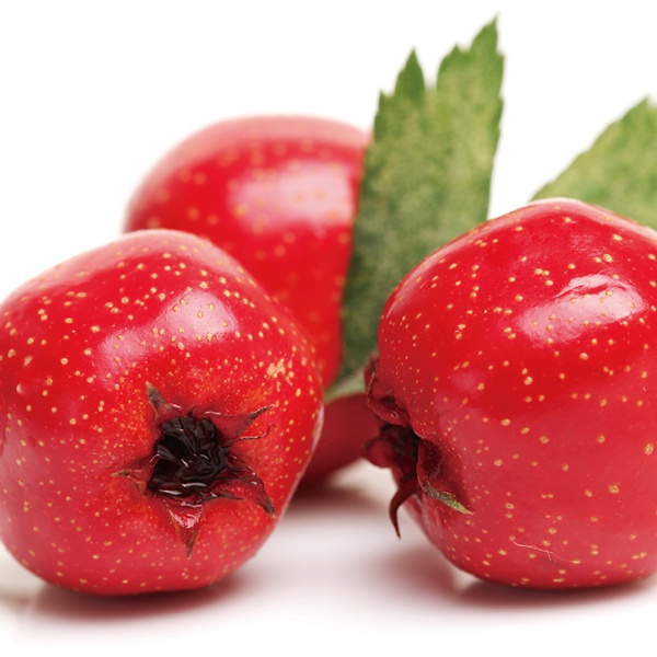 High Quality Cheap Organic Frozen Hawthorn Berry