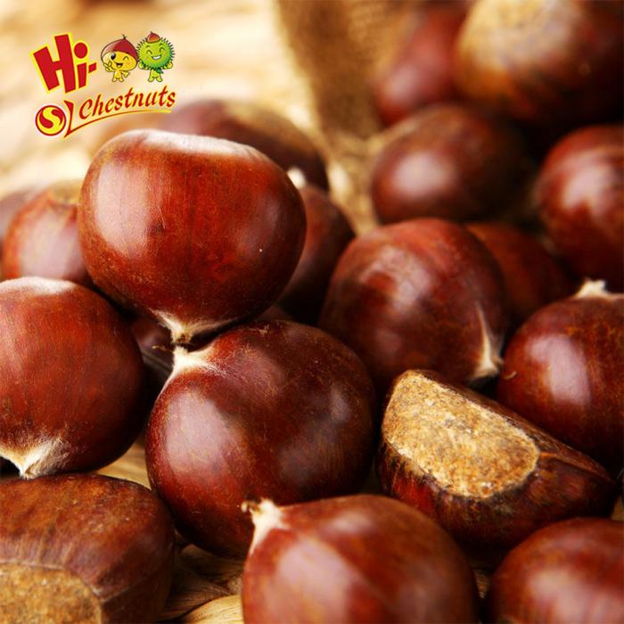 Kuancheng fresh chestnut