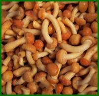 Pholiota nameko store 980usd/ton