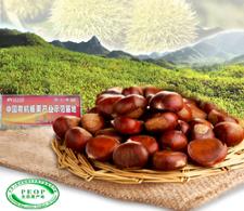 Welcome You Inviting My Company Fresh Chestnut  Base