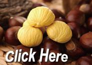 Hot Sales Zun hua 313 Fresh Chestnuts