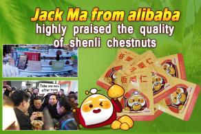 Jack Ma from alibaba highly praised the quality of shenli chestnuts